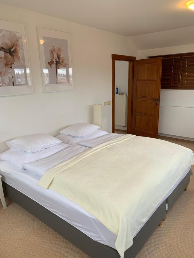 Apartmán Sarka Prague